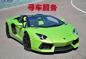 四川阿坝州专业寻车找车公司-在线服务 专业找丢失车辆 法院查封车服务