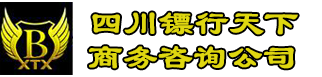 四川镖行天下商务咨询服务有限公司